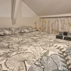 Bedroom in Forest Dreams - 1 bedroom Studio