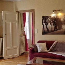 La vie en rose, spacious and comfortable one bedroom apartment Fontainebleau