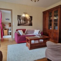 La vie en rose, spacious and comfortable one bedroom apartment Fontainebleau