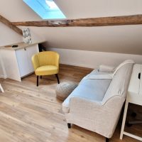 The Left Wing fonty housing 20260210